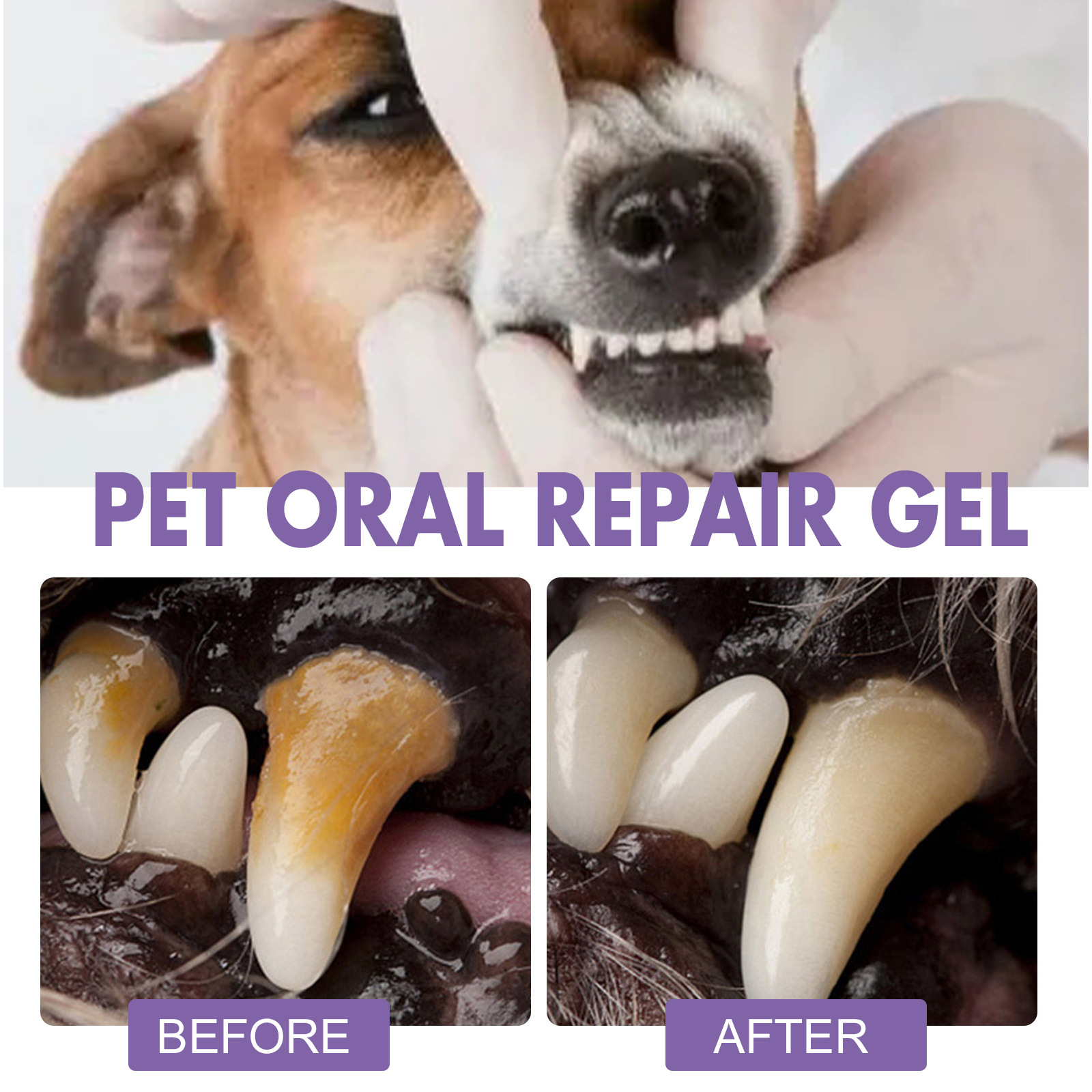 Pet Oral Repair Gel Puppy Tart - Teeth Whitening From Home 评论和价格