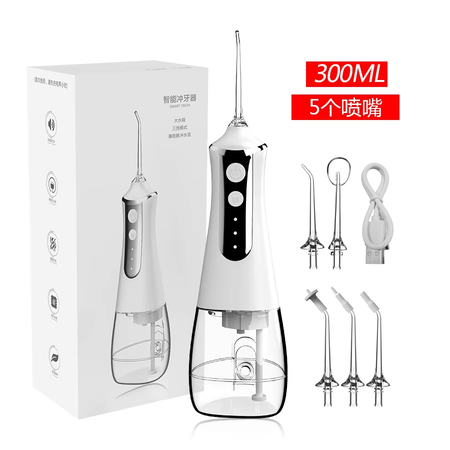 HOMEFISH Oral Irrigator Portab - Dental Floss Picks 评论和价格